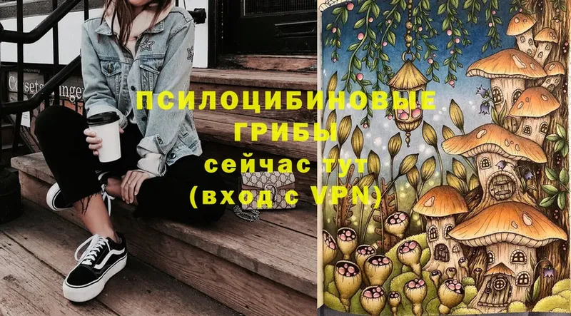 Псилоцибиновые грибы Cubensis  Жуковский 